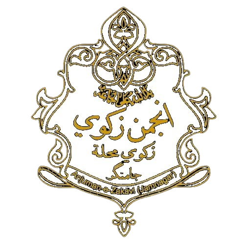 Anjuman-E-Zakavi Logo